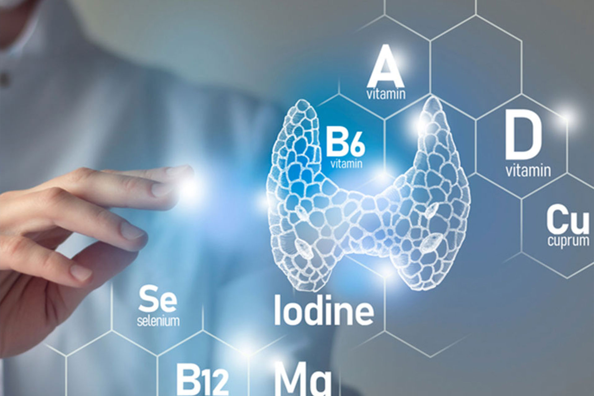 Endocrine and Metabolic Guidelines